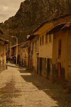 Vida in la Valle Sagrado III