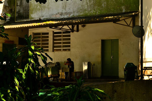 The House on Corcovado Mountain