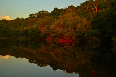 Sunset in the Amazon