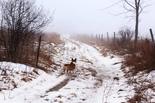 A Road to Nowhere