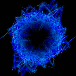 Apophysis VIRUS-Q901