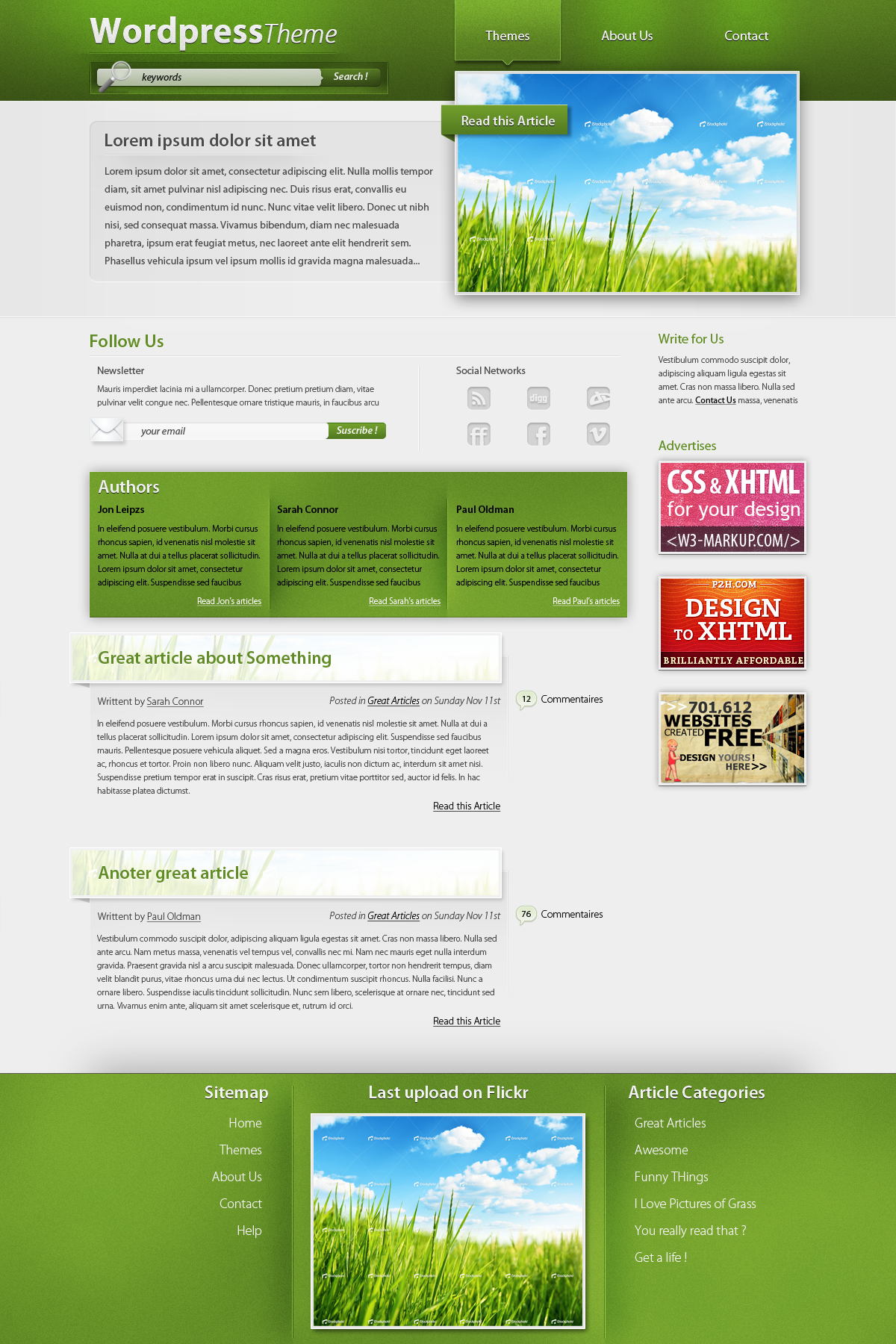 Wordpress Theme - Grass