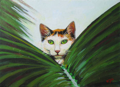 Cat in the palm tree