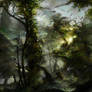 In The Forest