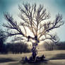 Disintegration