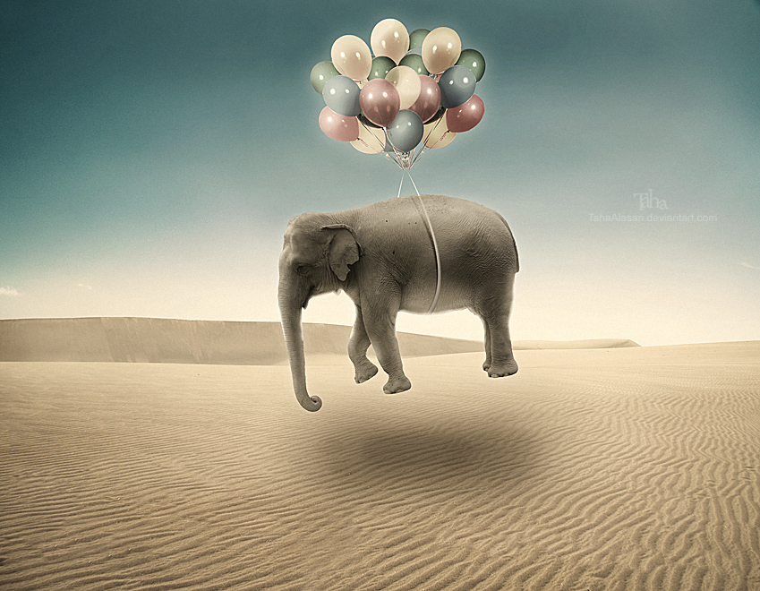 Up In The Air By Tahaalasari On Deviantart