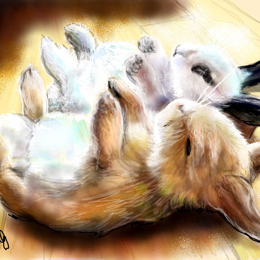 Hypnotized Bunnies by crabbegoyle on DeviantArt