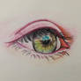 eye study