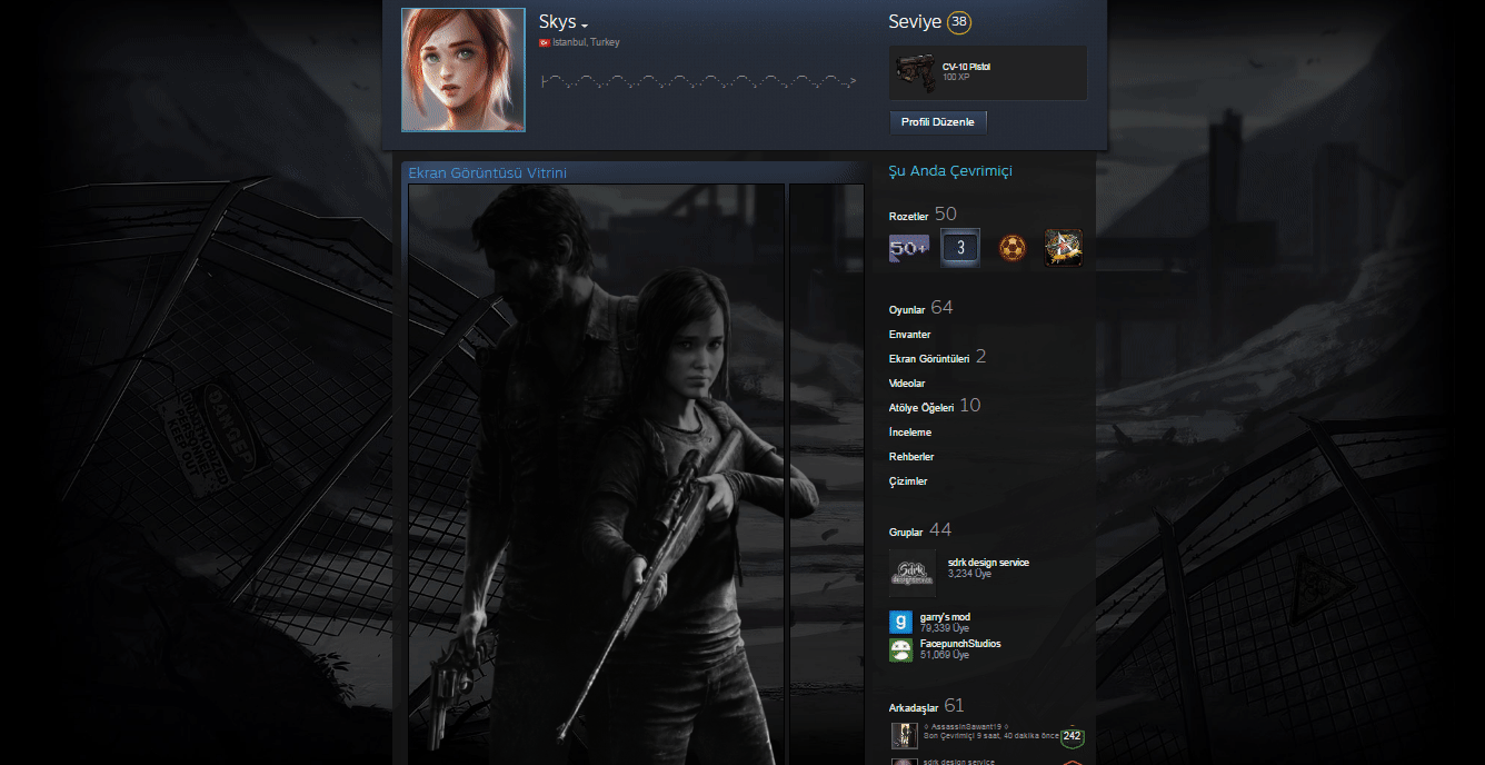 I made TheLastofUs2 themed steam profile backgroundart : r/thelastofus