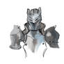 Armor Practice