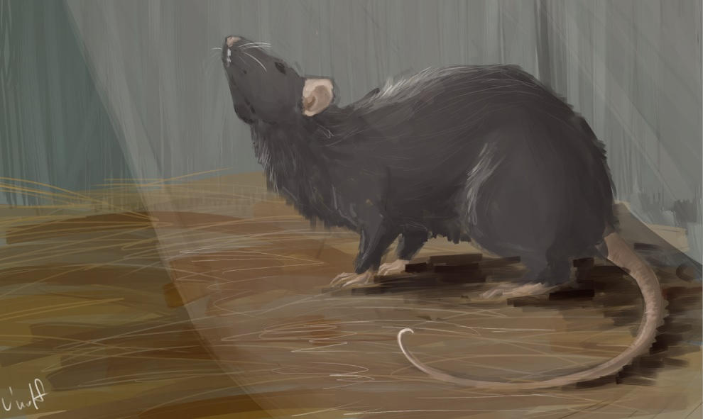 Adapt. by Umbrellawolf on DeviantArt