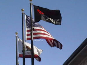 CA, USA, D.A.R.E flags