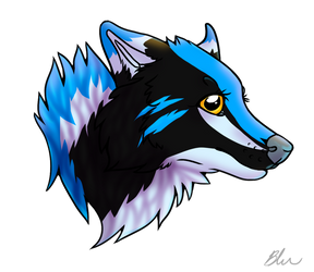 Practice Bluu Headshot