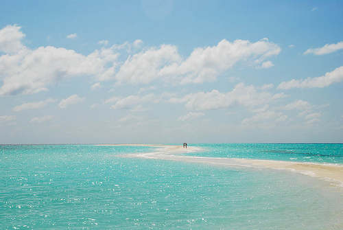 A Day At The Beach