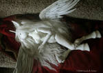 Pegasus by TheMushroomPeddler