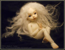 A Fairy is Born