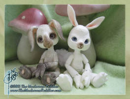 Fluff the Bunny and a Friend