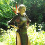 Faerie Armour 1