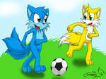 Misha and Tails: Soccer Time by RoninHunt0987