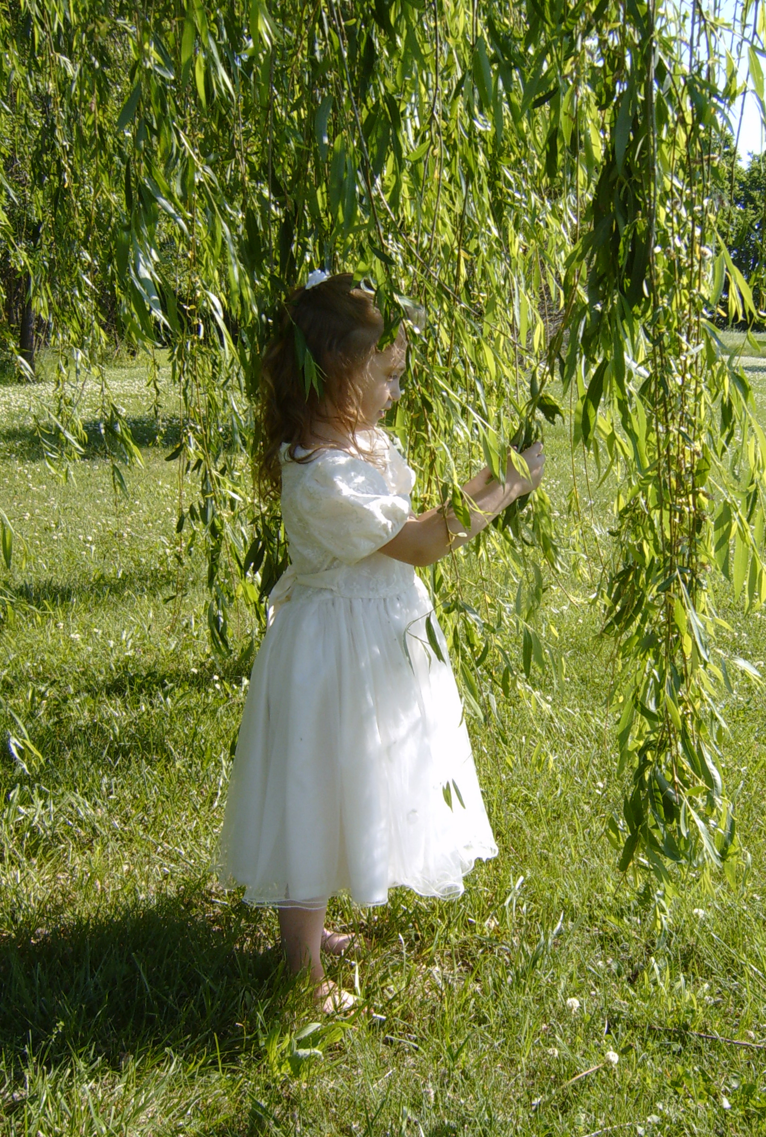 White Dress 3