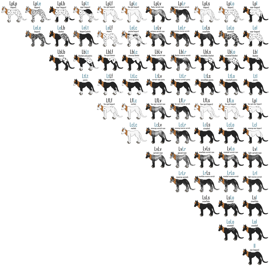Mutations: Leopard Complex by Sakarri on DeviantArt