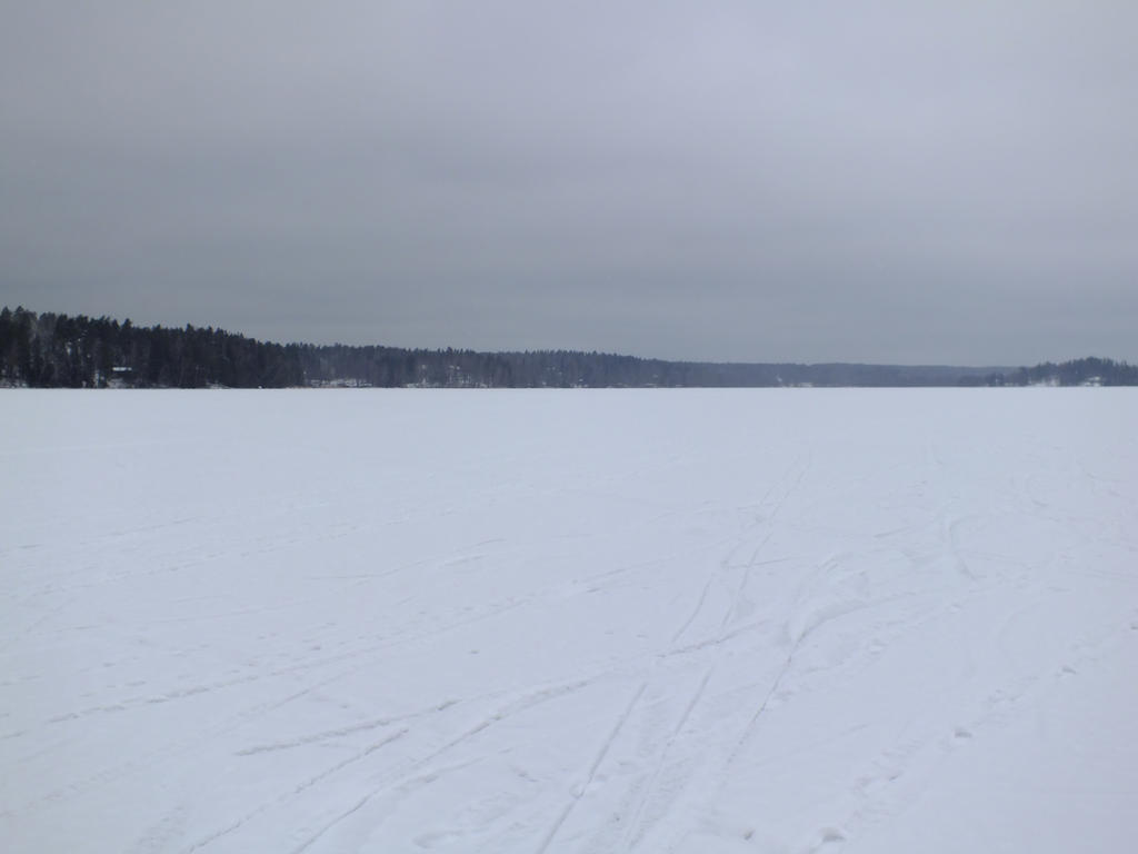 Lake Bodom winter I