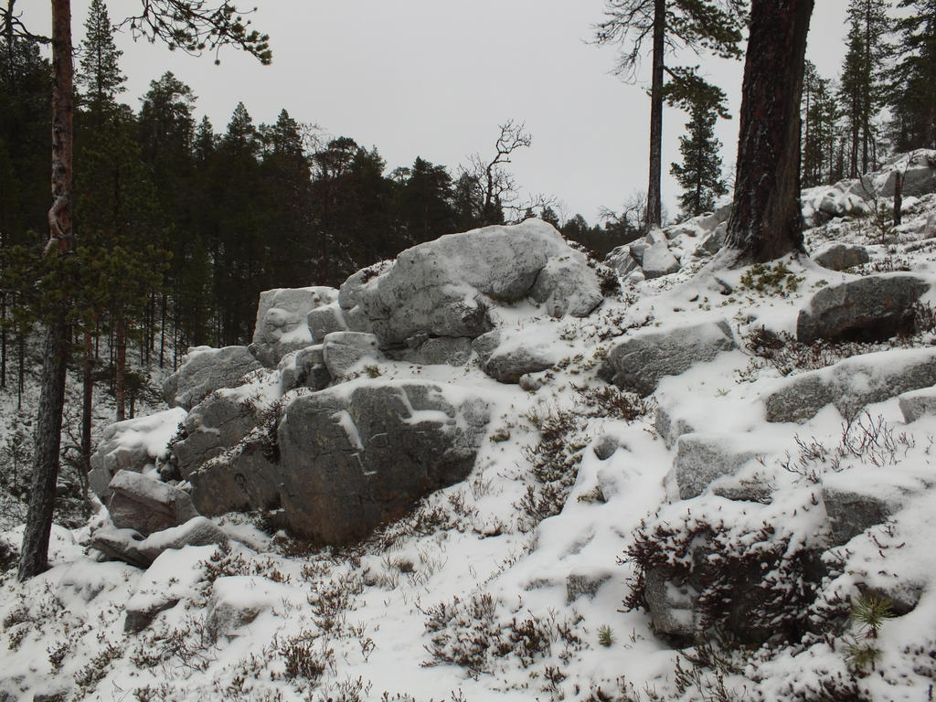 Snowy Rocks