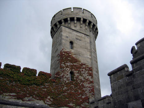 Wales: Penrhyn Castle III