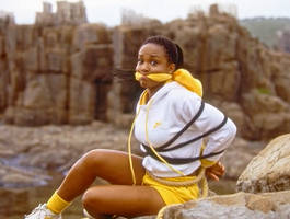 Power Rangers: Yellow Damsel