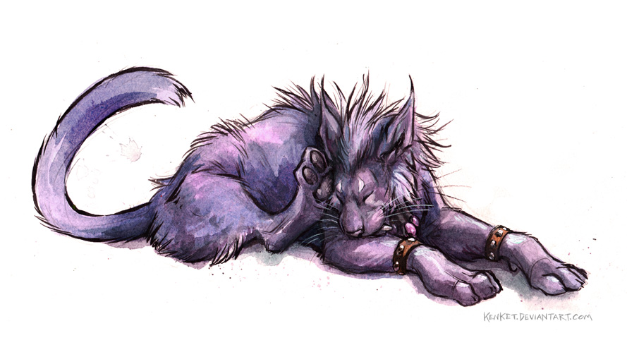 Night Elf Cat