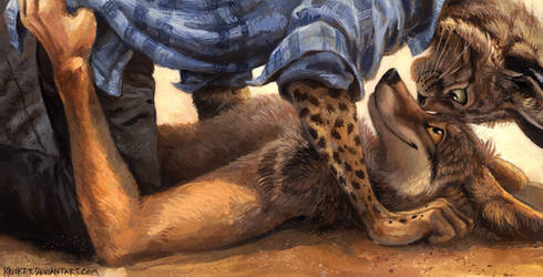 Pinned by kenket