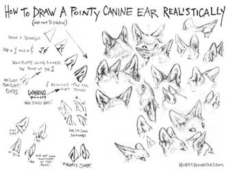 How to Draw Canine Ears Tutorial #1