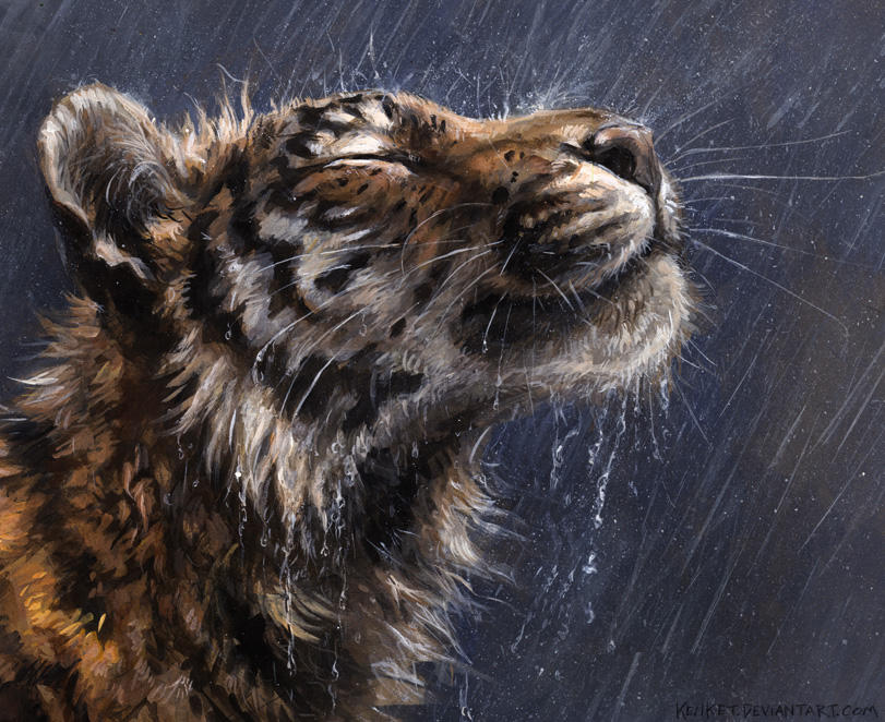 Rain King by kenket