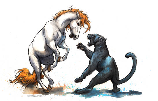 Cats vs. Horses