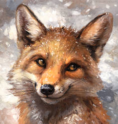 Winter Coat