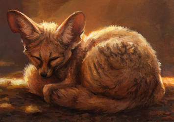 Fennec