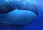 Wailord by kenket Wailord by kenket