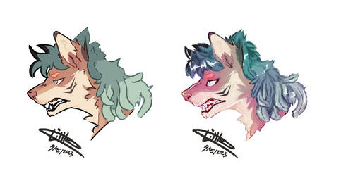 Experimental headshots