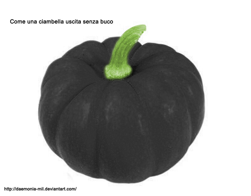 Black Pumpkin