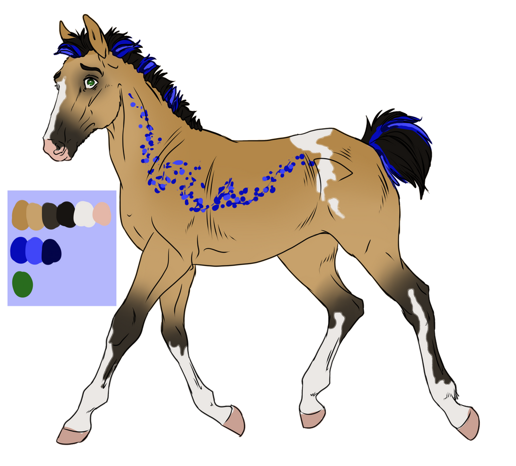 512 Padro Foal for Gingerdrama