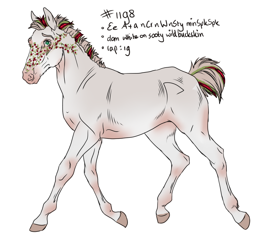 1198 NGS Fawzi - foal design