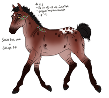 1115 Padro Foal Design for KTLasair