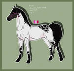 1505 Padro Import - Qular by KimboKah