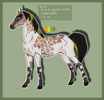 1502 Padro Import - Qular by KimboKah