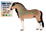 GR009 Elysium Official Group Horse by KimboKah