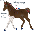 1307 Padro foal design for semper-n-aeternum by KimboKah