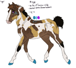 1758 Padro Raffle Import - SOLD by KimboKah