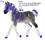 1783 Padro Personal Import by KimboKah