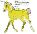 1780 Padro Personal Import by KimboKah
