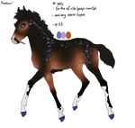 3882 Padro Raffle Result for DragonDreamFlyer by KimboKah